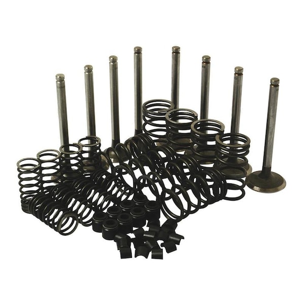 Aftermarket 61828 Valve Kit Fits Massey Ferguson 236 248 4 Cylinder 165 Perkins ENE10-0204 - main